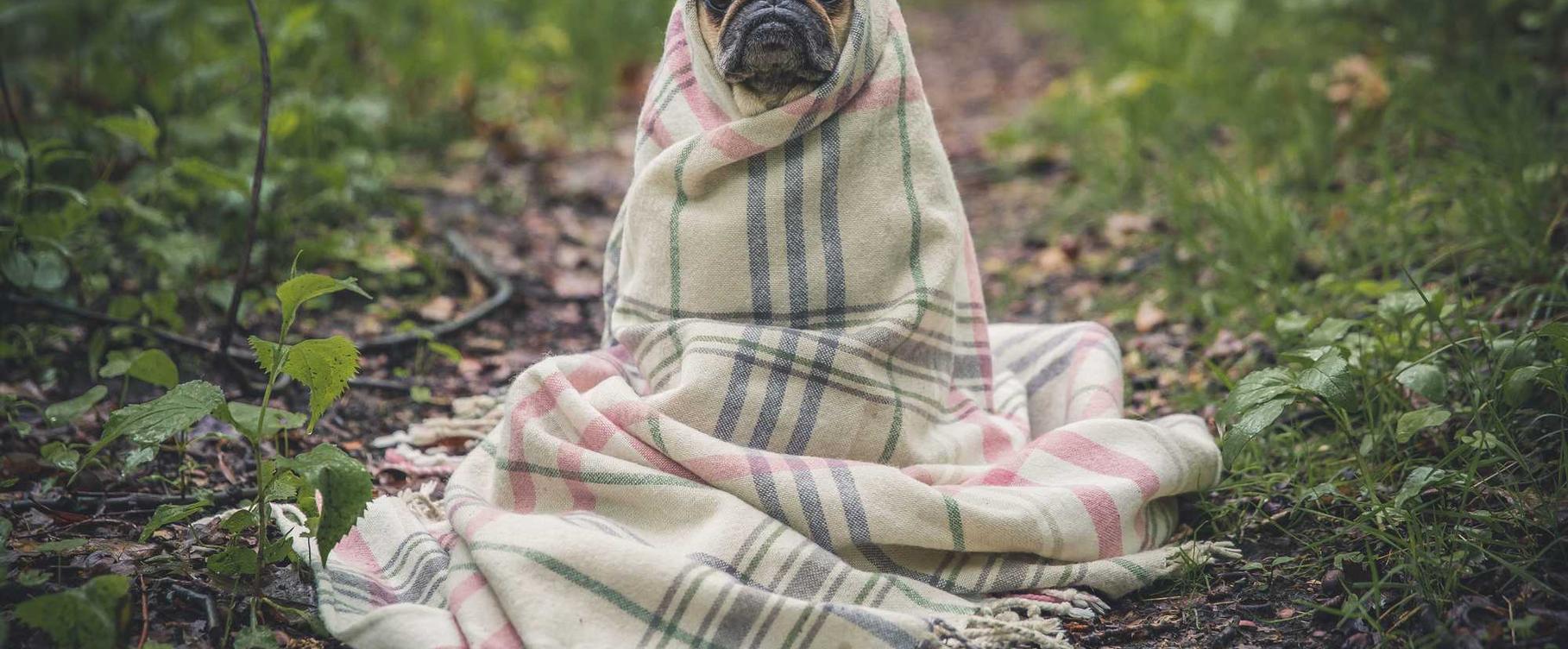 tcp攻击|金华代理工商注册