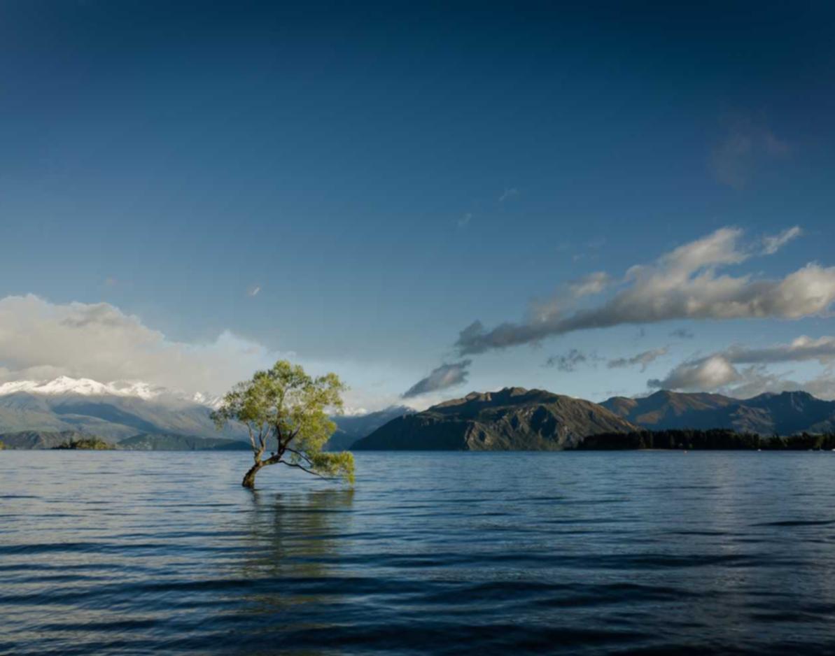 中期移动实名账号：顶点刷粉平台开户