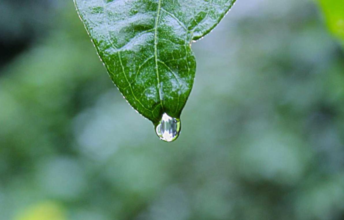 精灵ip实名账号：up游戏购买平台