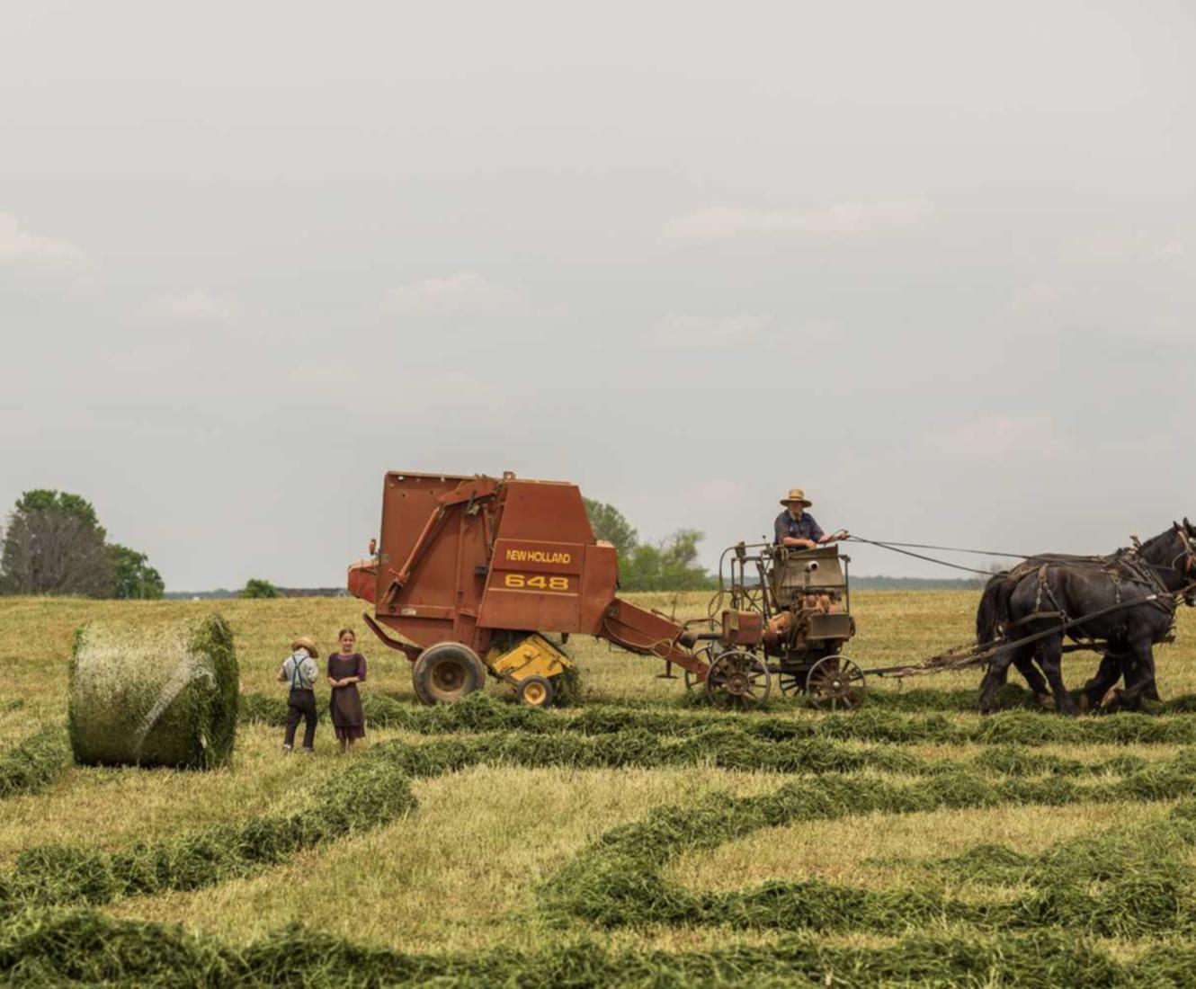 在线双语服务团队：糖衣交友app详情下载教程