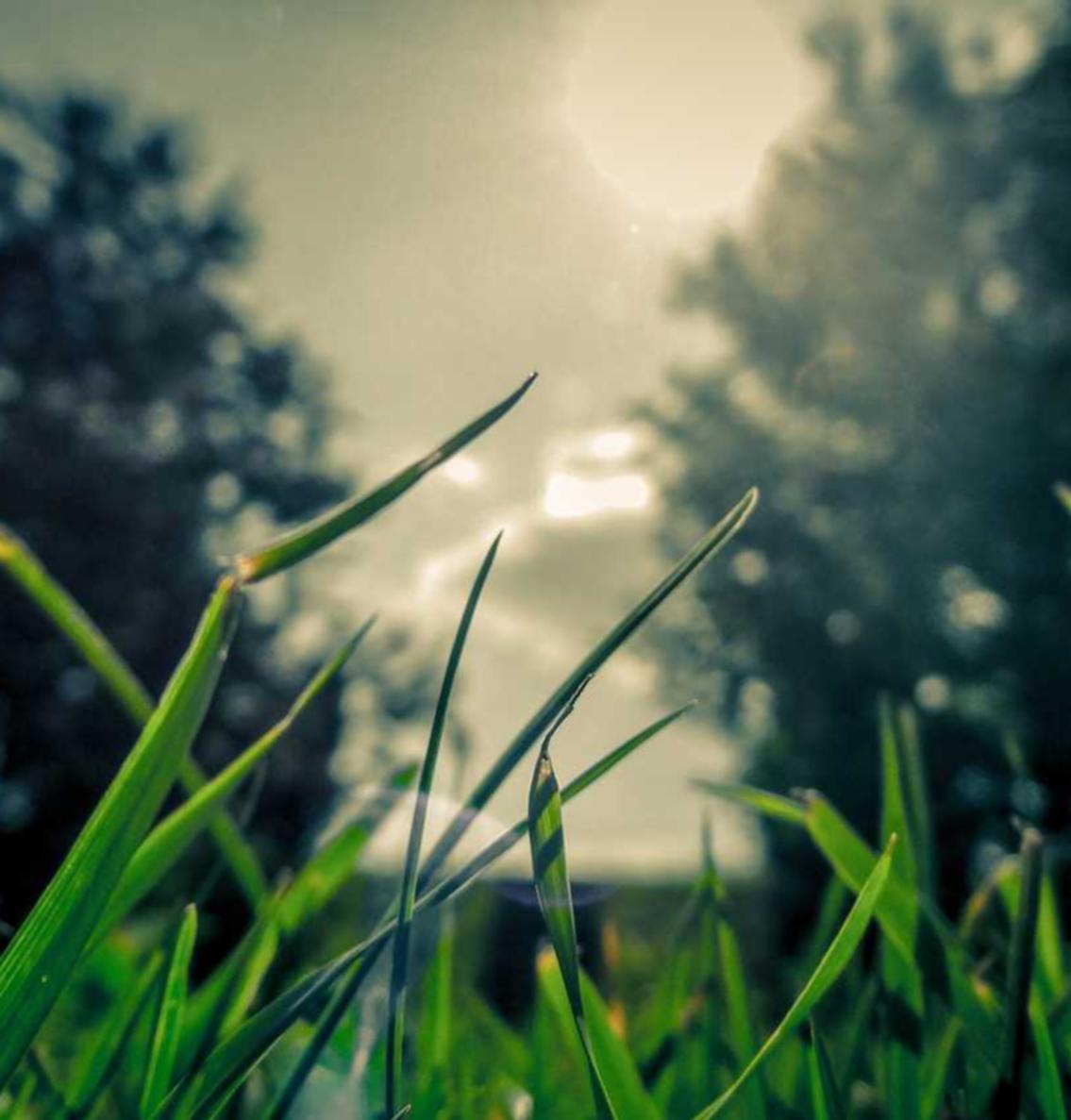 木盒红沉香（粗）：辉县公司注册代理记账服务