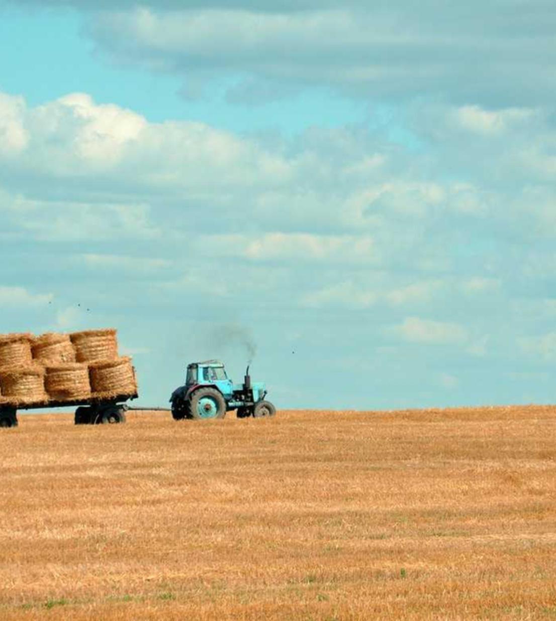 香烟的珍藏价值 
