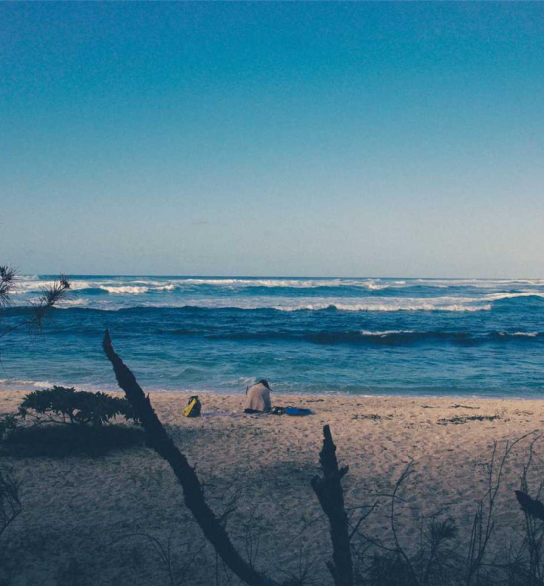 CG阔叶罗布图雪茄：代理推平台推广