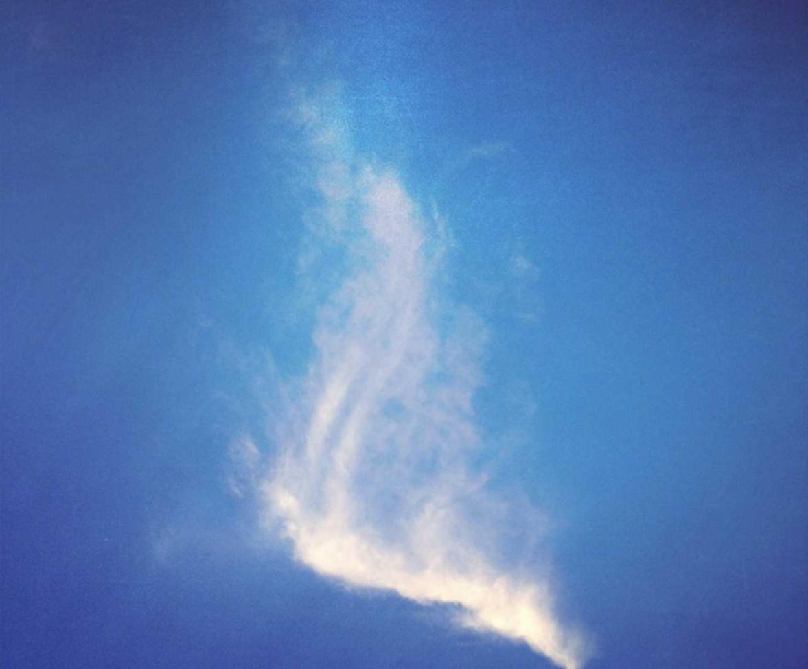 Mond梦都葡萄:自媒体交友平台代理