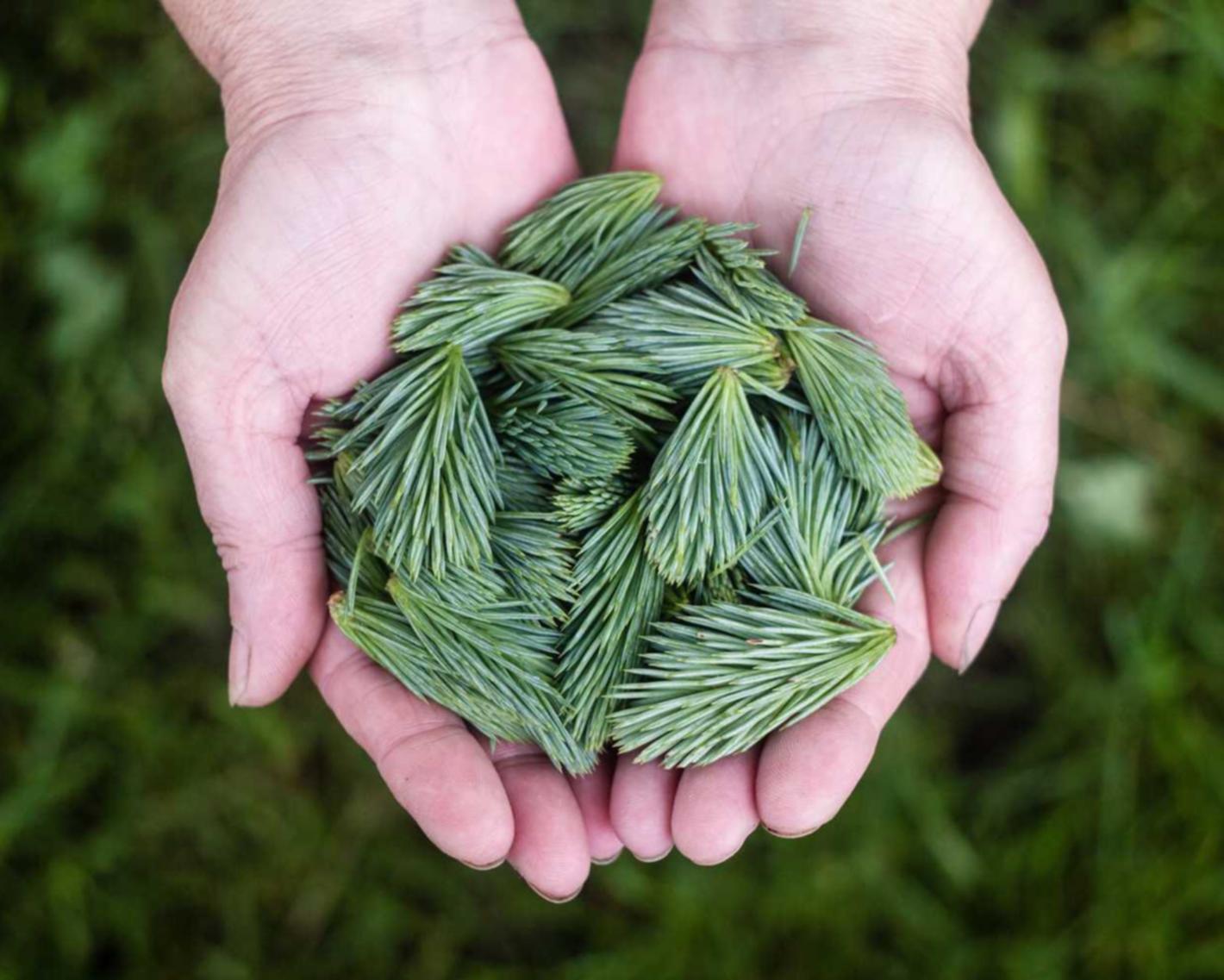 博猫游戏2,注册|南昌代理记账平台