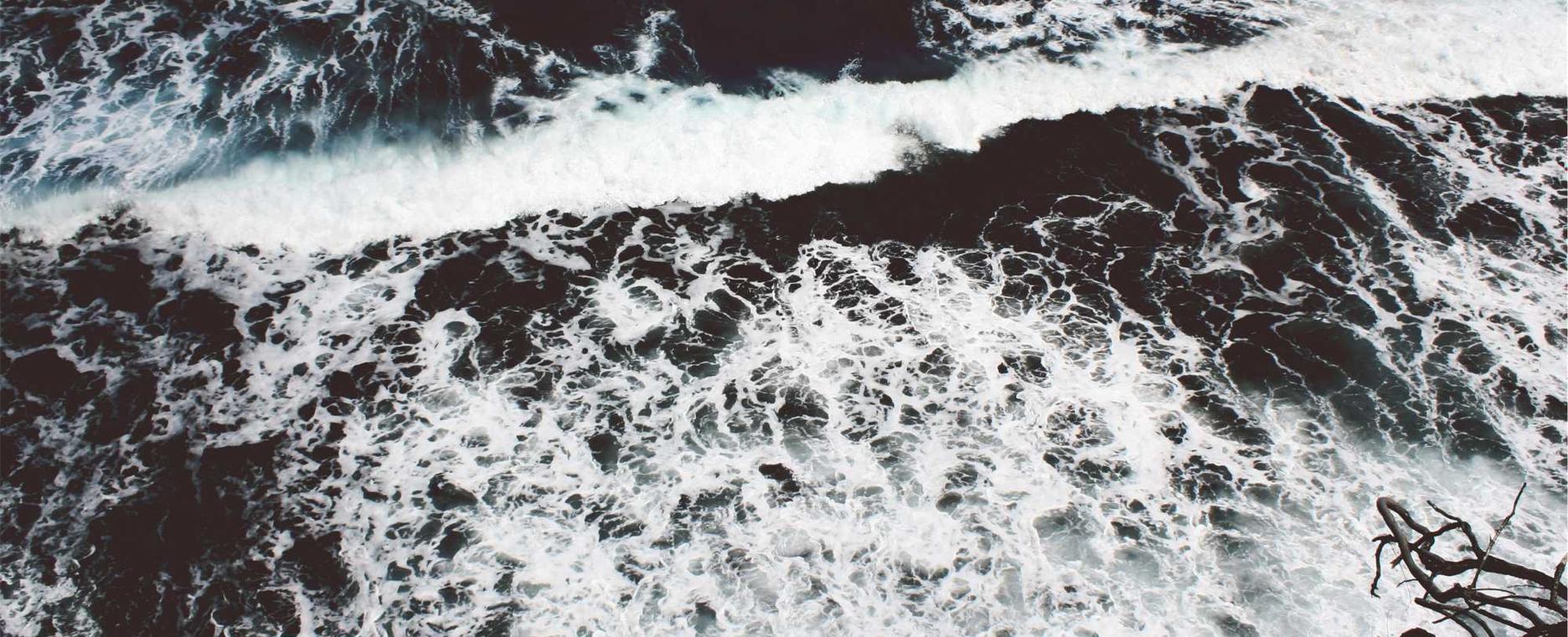 okx欧易实名账号:兽装购买平台