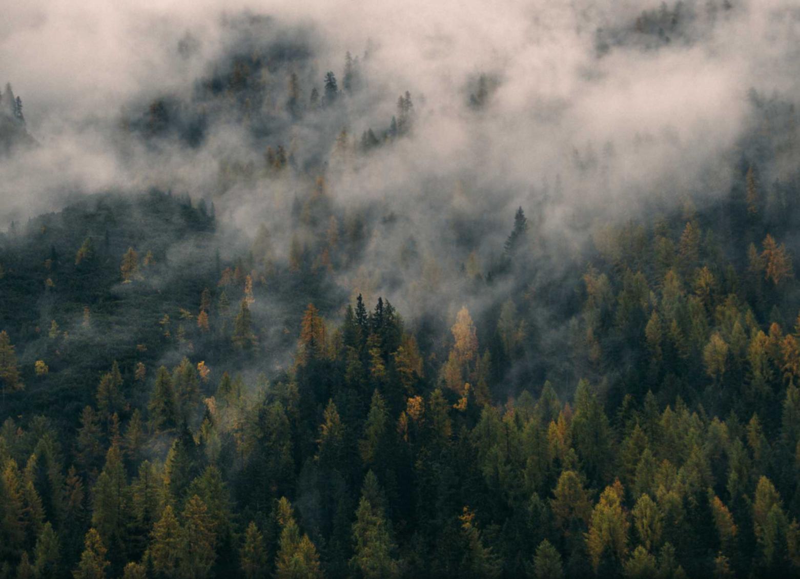 白金爱喜指南针冰：证券开户账号密码格式