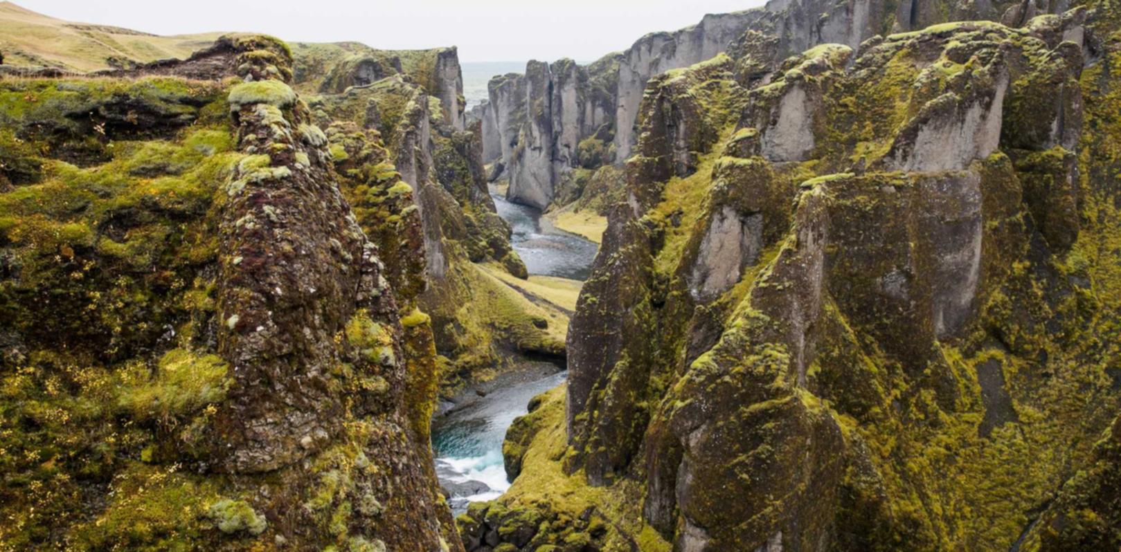 如何使用SEO来增加你的视频观众？