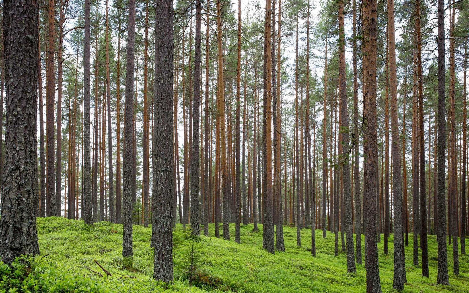 cc网页端|中城区代理记账公司注册