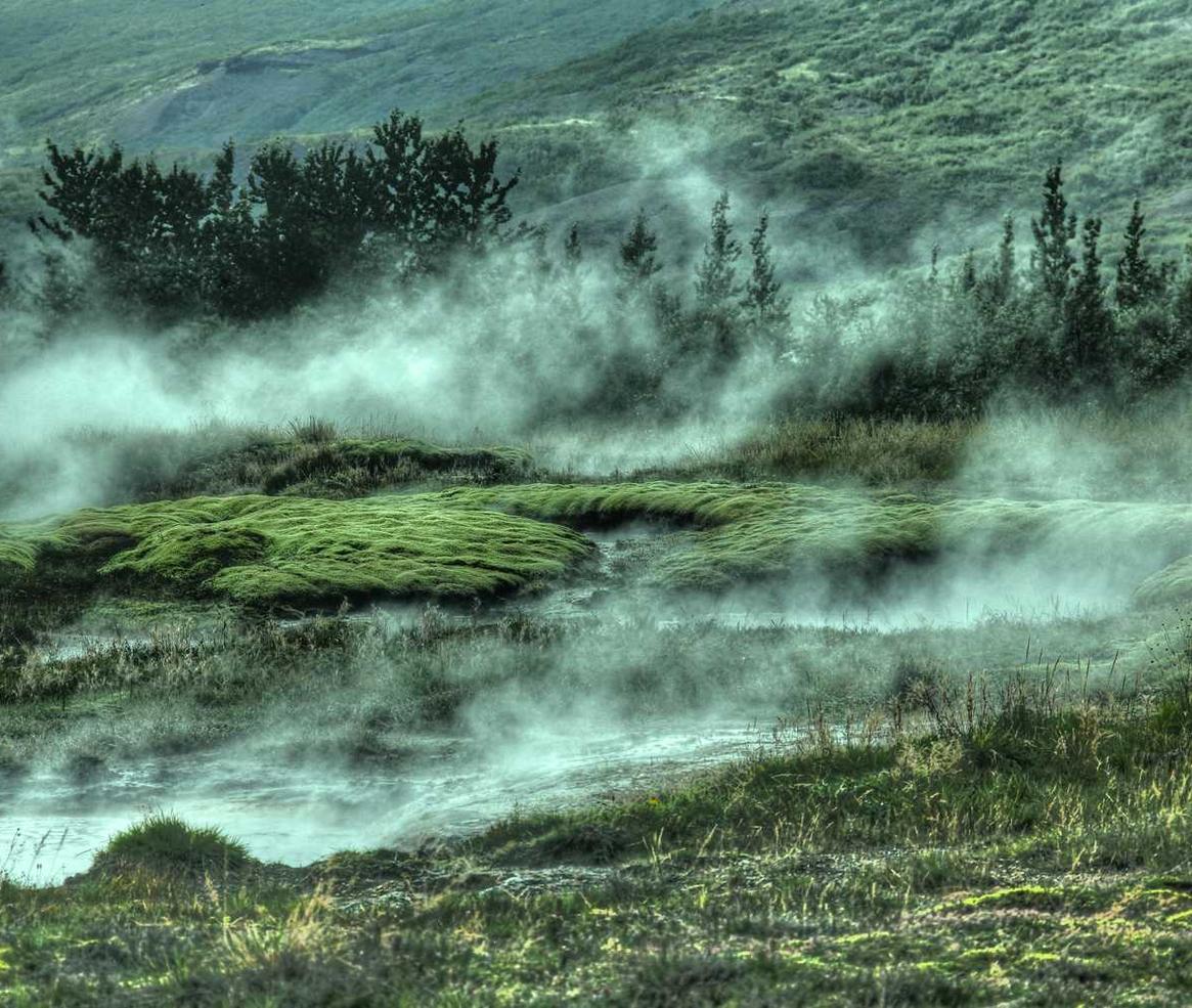 国外ddos攻击页端|河工人app详情下载教程