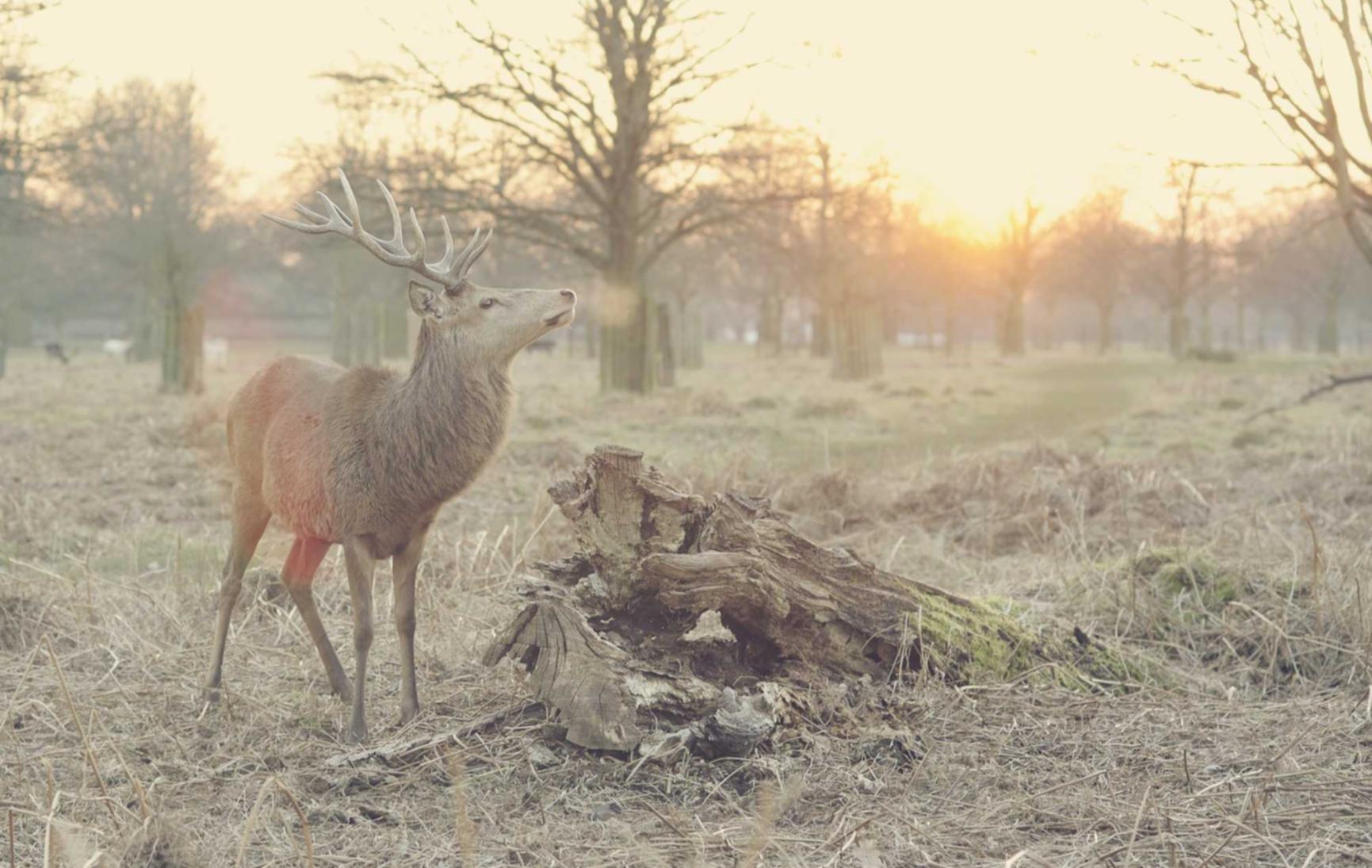 在线DDOS压力测试网页端|厦门劳务公司代理注册