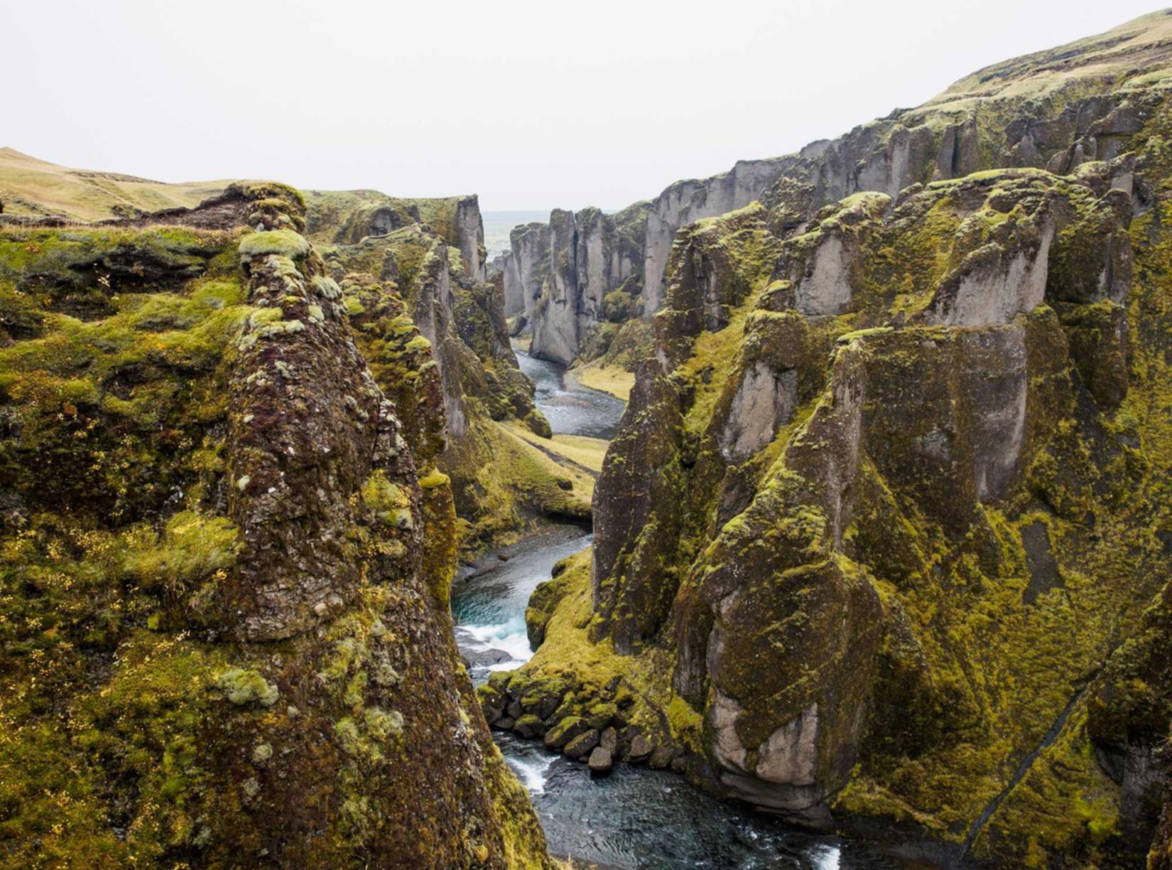 人性的扭曲：揭示技术支持辅助的心理学原因