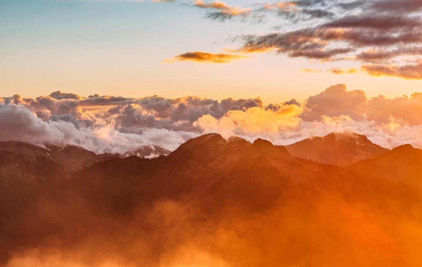 虚拟机手机卡实名实名账号:熊猫影院app详情下载教程