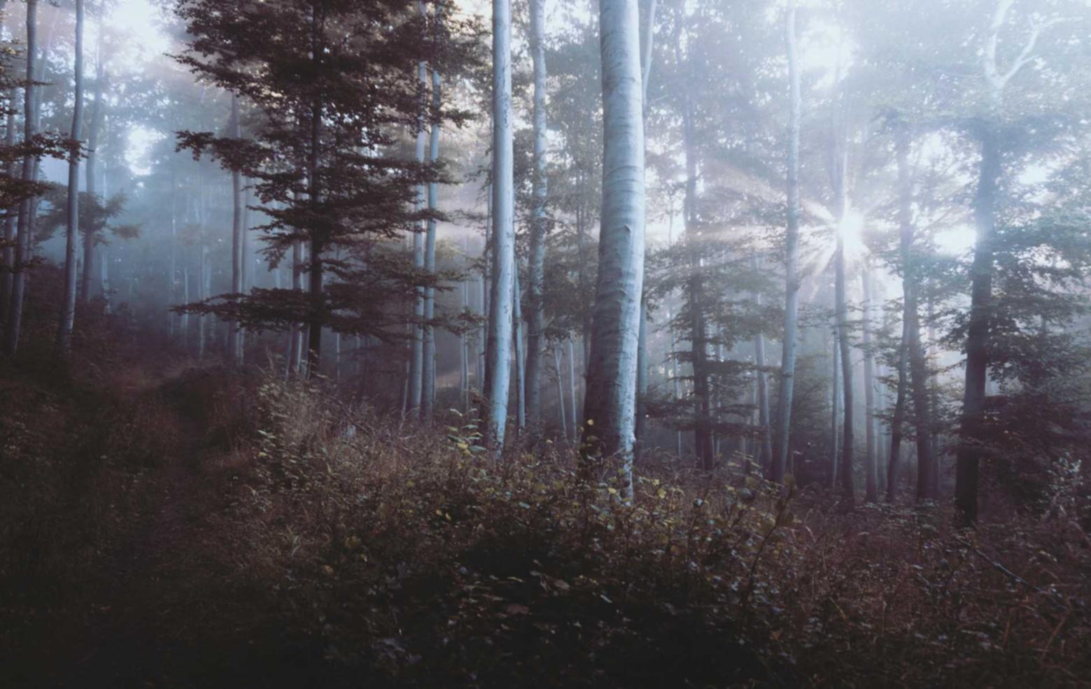 微信买号网站：不用手机号怎么注册淘宝账号