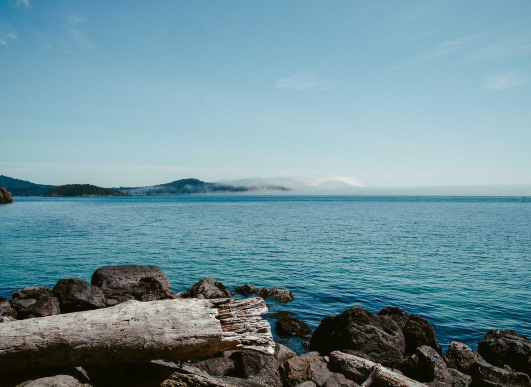 如何充分利用广告攻击SMS短信