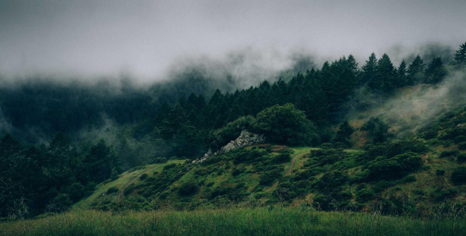 如何利用前端性能进行SEO优化