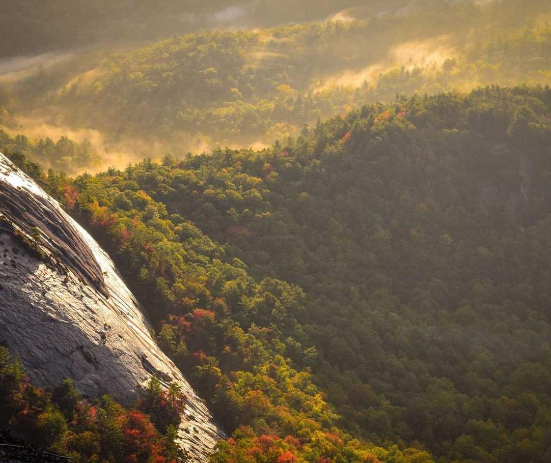 异侠传：道消魔长：聚有钱app详情下载教程