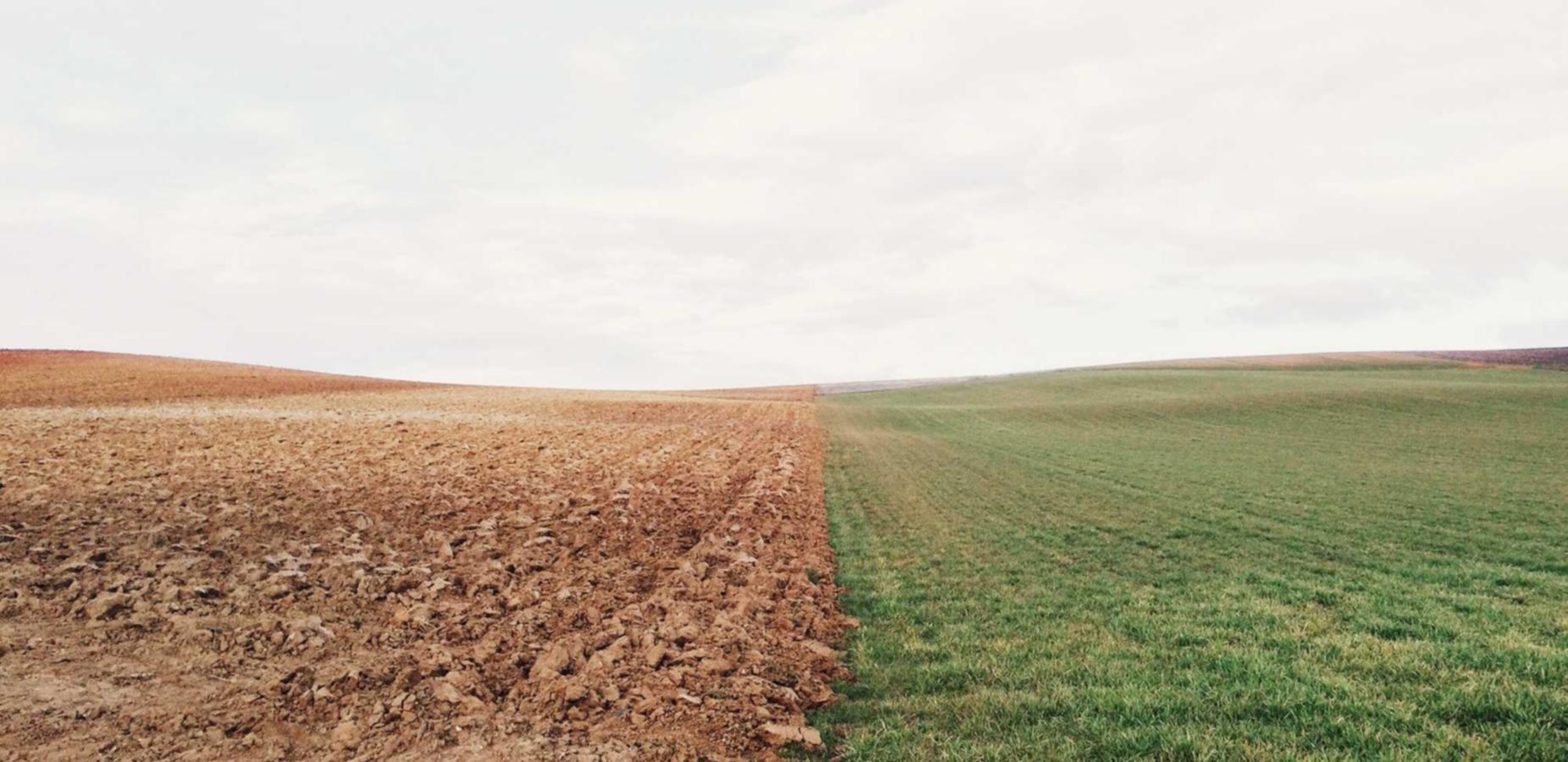 DDOS攻击|购买收藏的平台