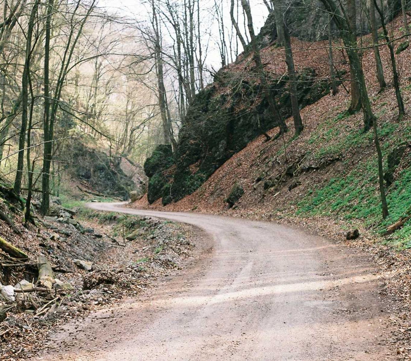湖州本地乐器代理平台