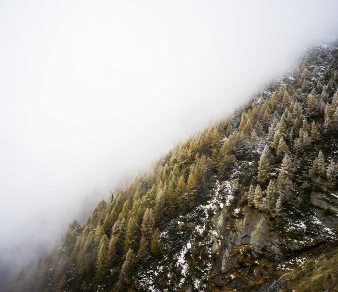 凤凰城通过区域营销提高企业盈利能力 