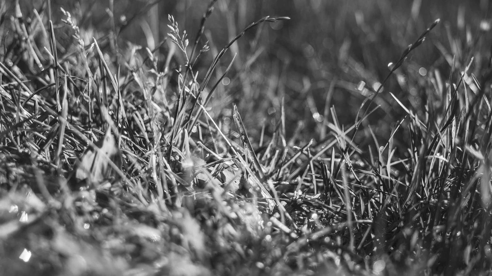 镇魂街：天生为王辅助- 音乐购买国外平台