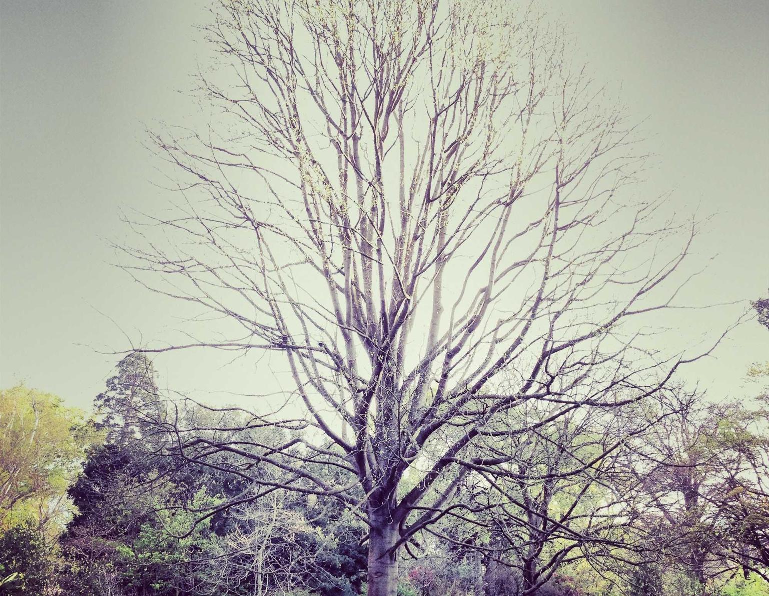 流量卡在大数据时代的应用和服务