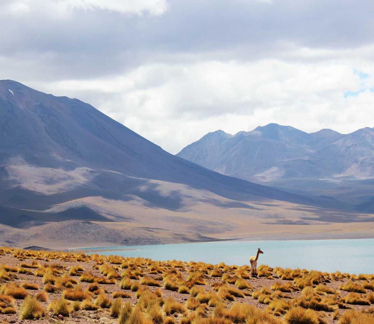 解读DDOS攻击的电脑- 长清注册公司代理