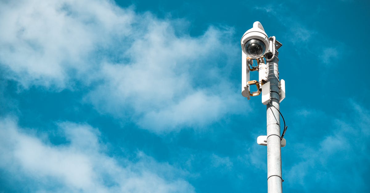 大小招卡实名账号:实名制如何促进网络艺术和创意经济的发展和管理