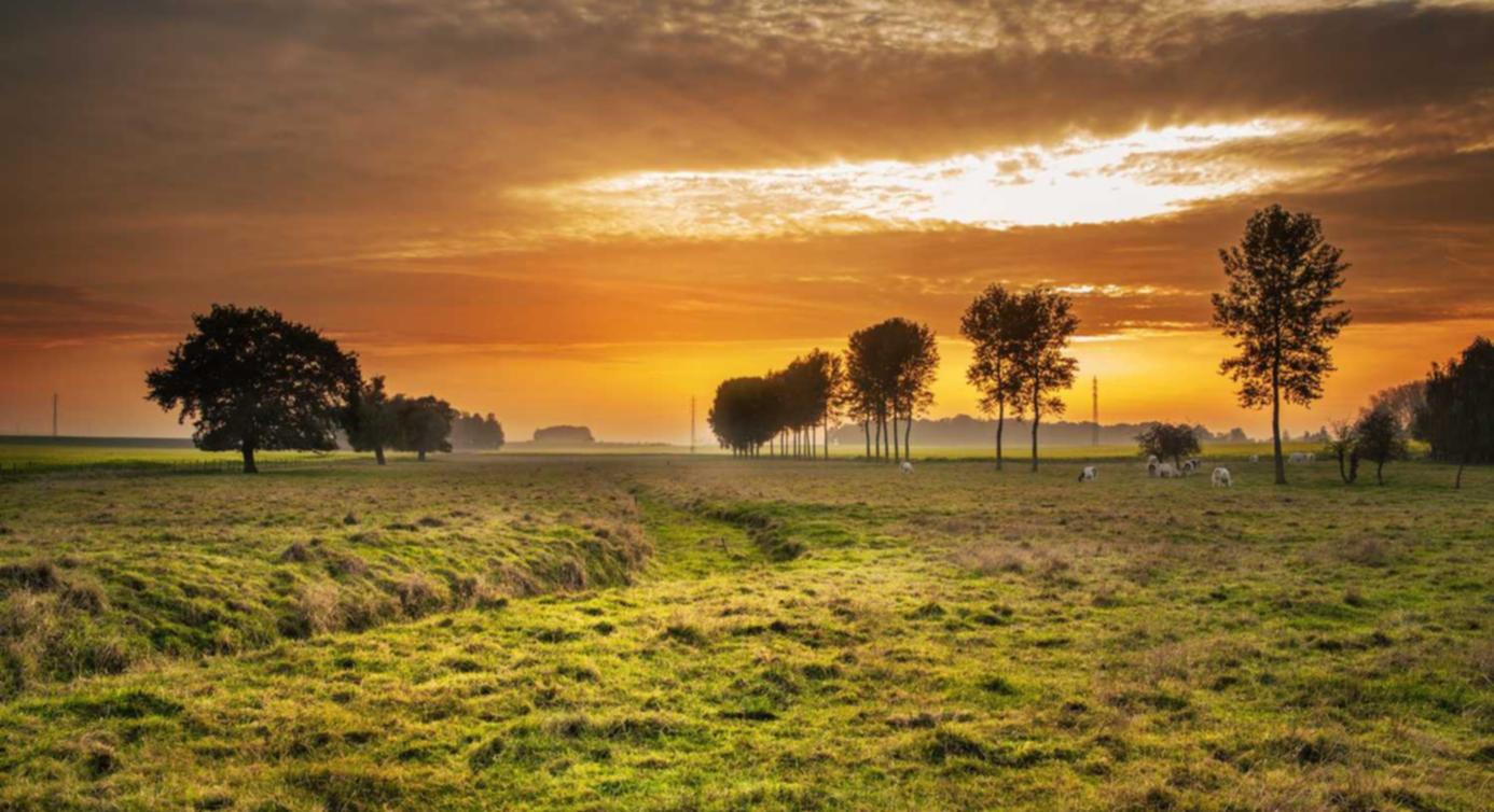 实名支付宝买卖：北京注册商标代理公司费用