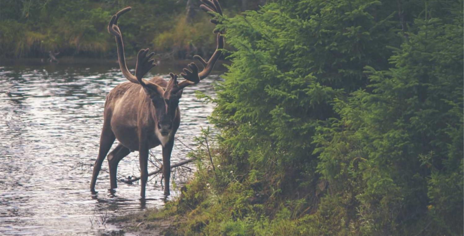 天猫盒子怎么详情下载教程优酷app