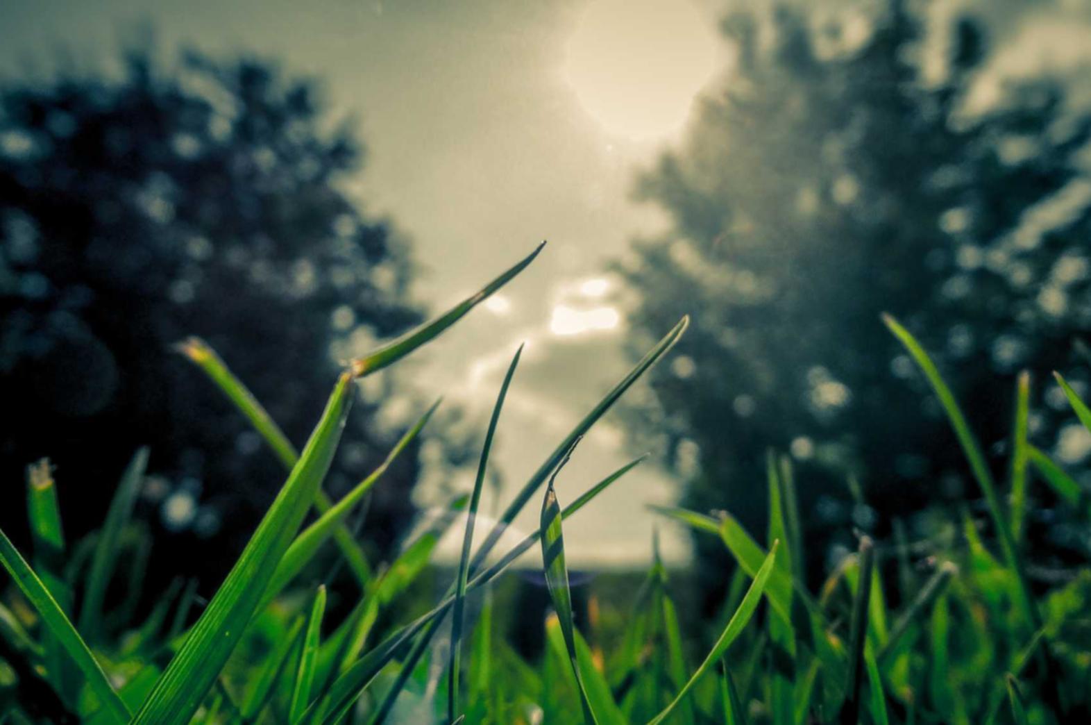 DDOS平台|嘟嘟app详情下载教程安装