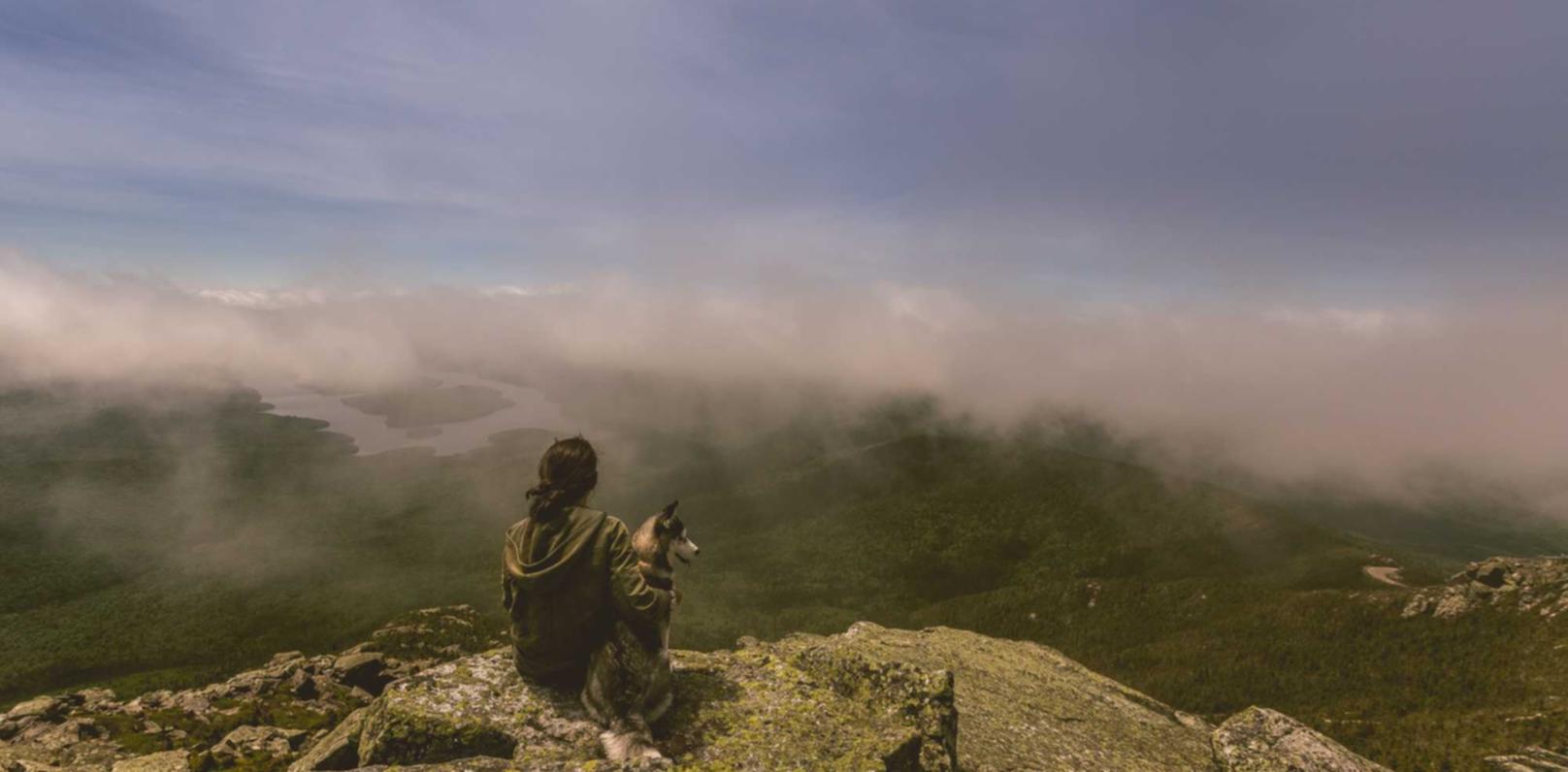 买啦钱包app详情下载教程