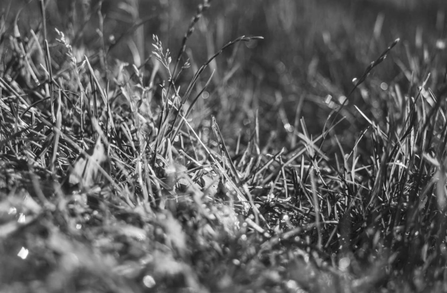 网站代实名实名账号:杨浦工商代理记账平台地址