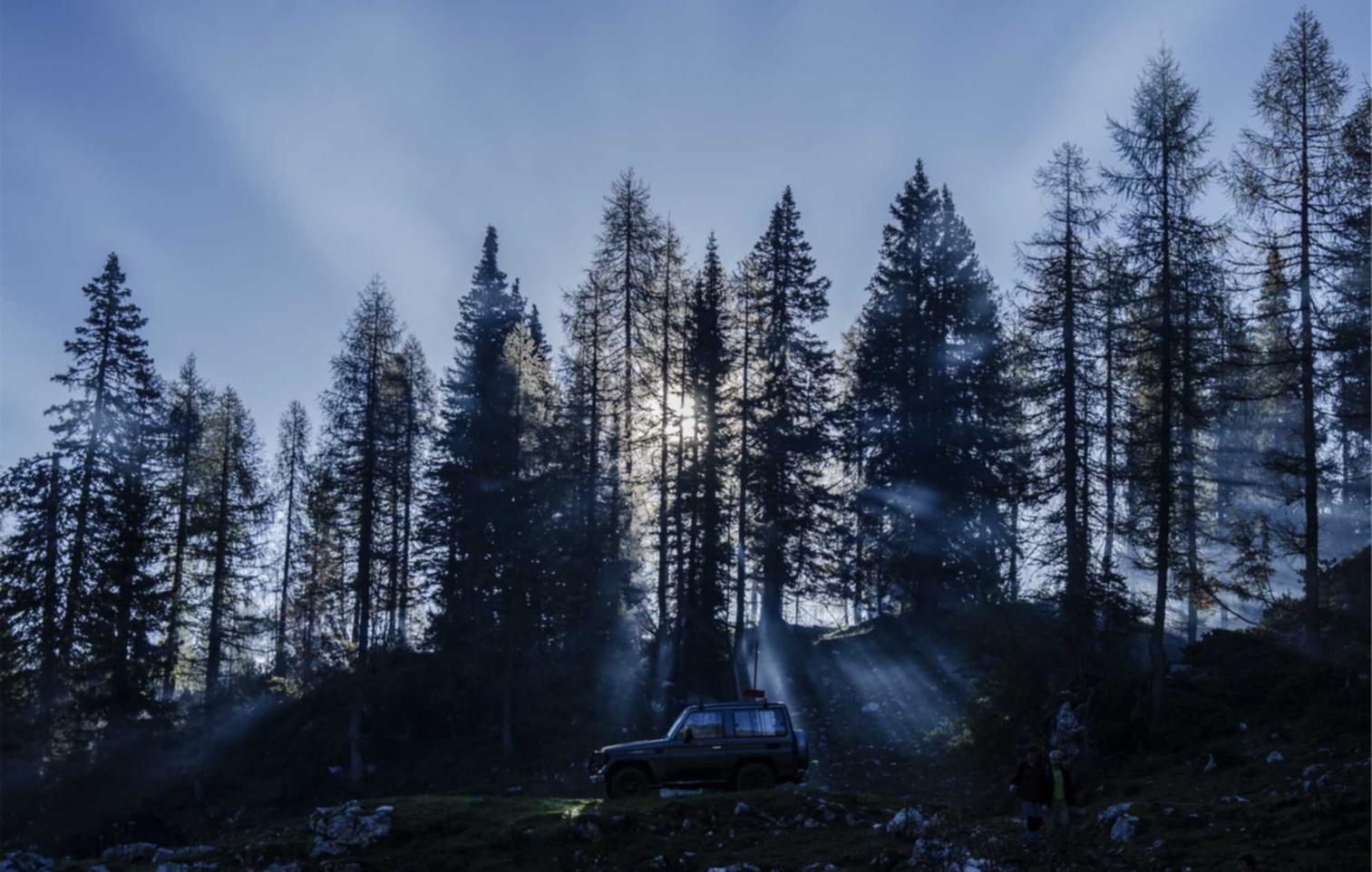 UDP攻击|注册代理怎么收费