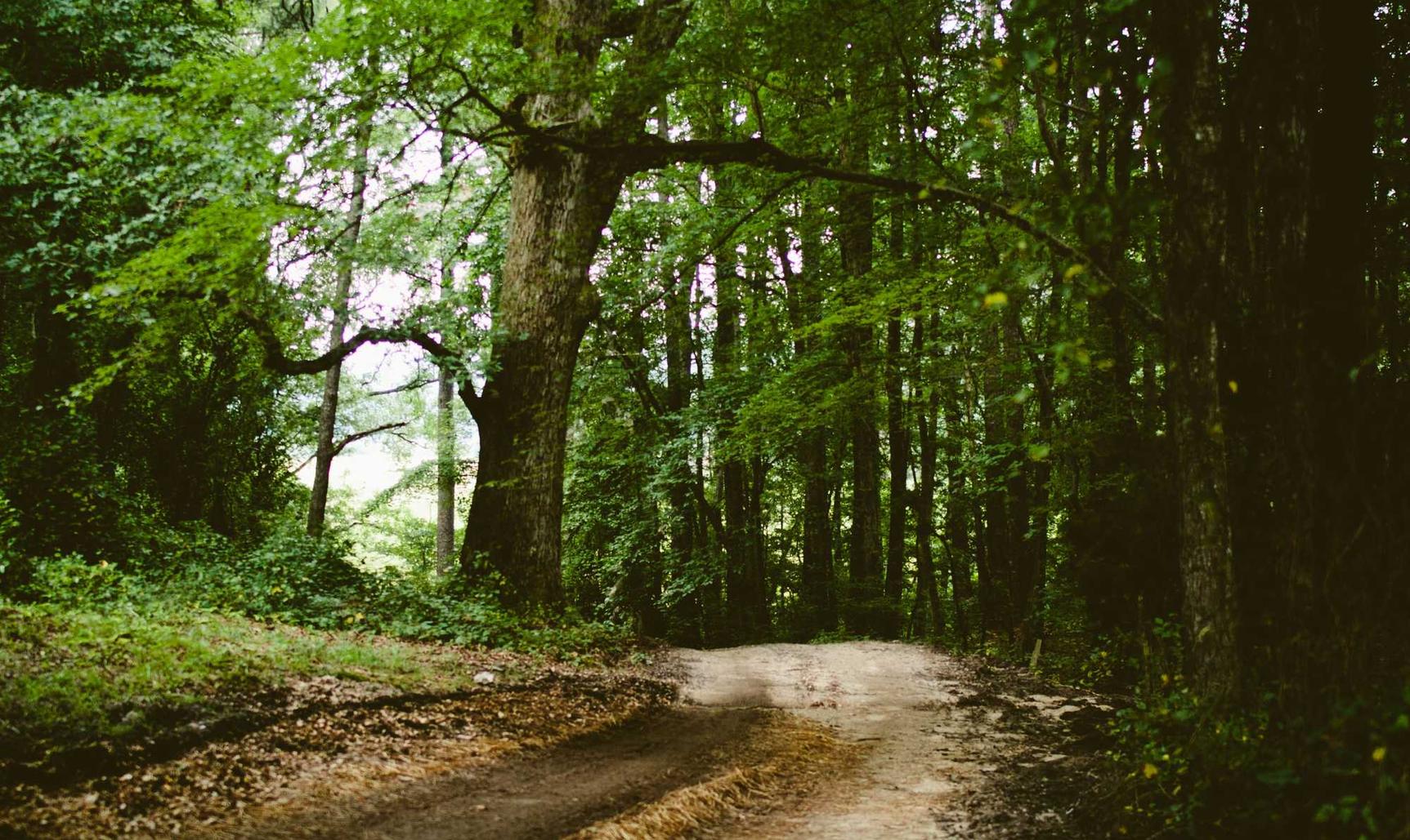 又拍云实名账号：开户行账号太长怎么缩小
