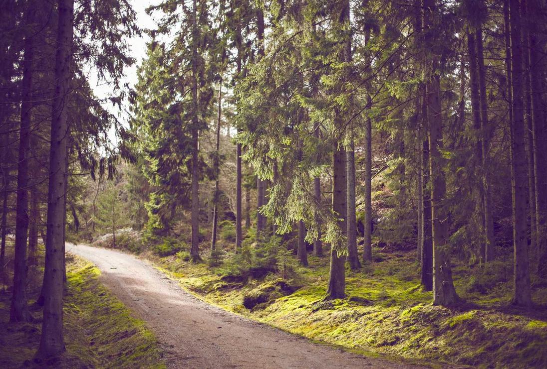 解读DDOS攻击网页端- 代理注册工商条件