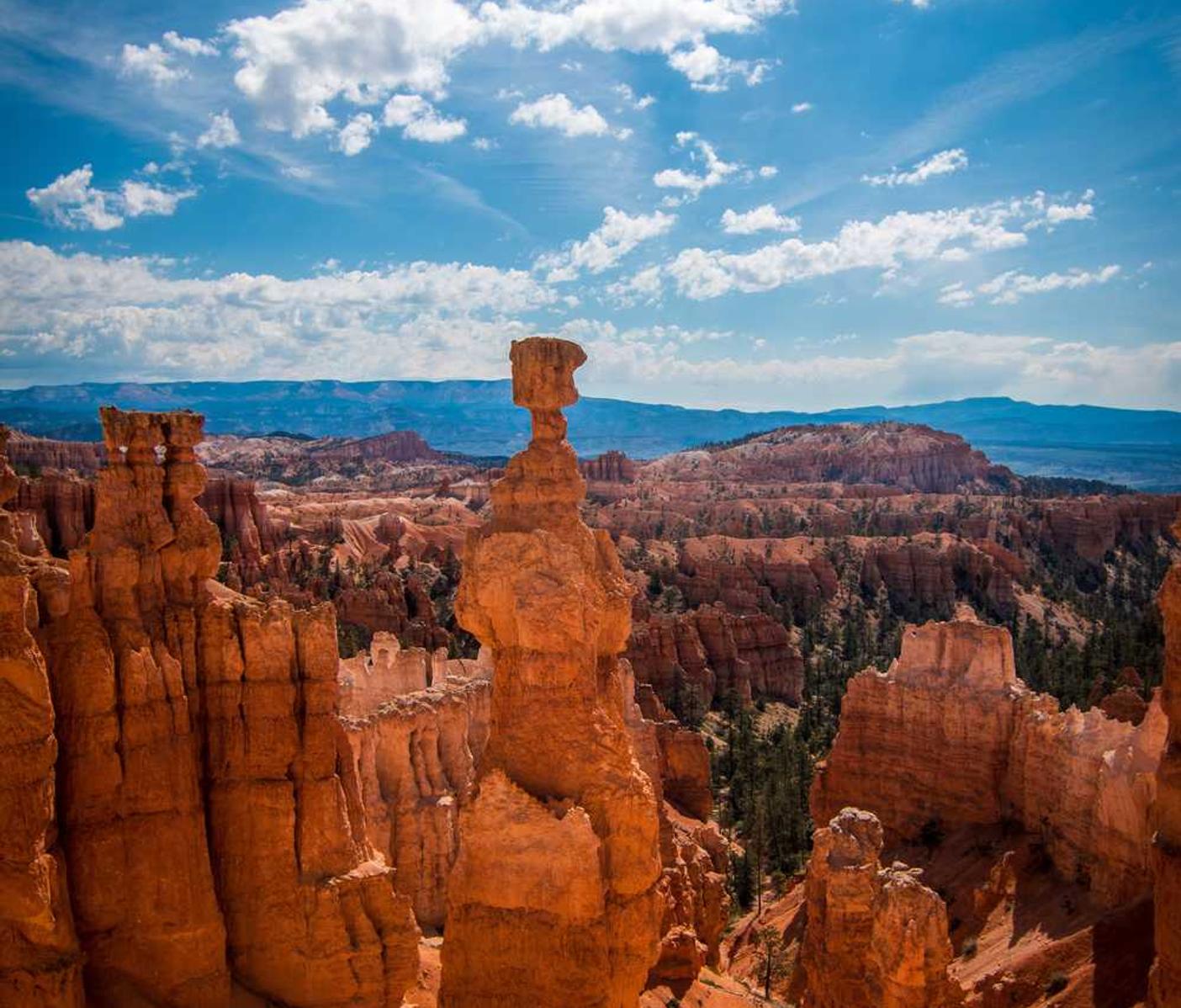 友盟实名账号：微号购买平台