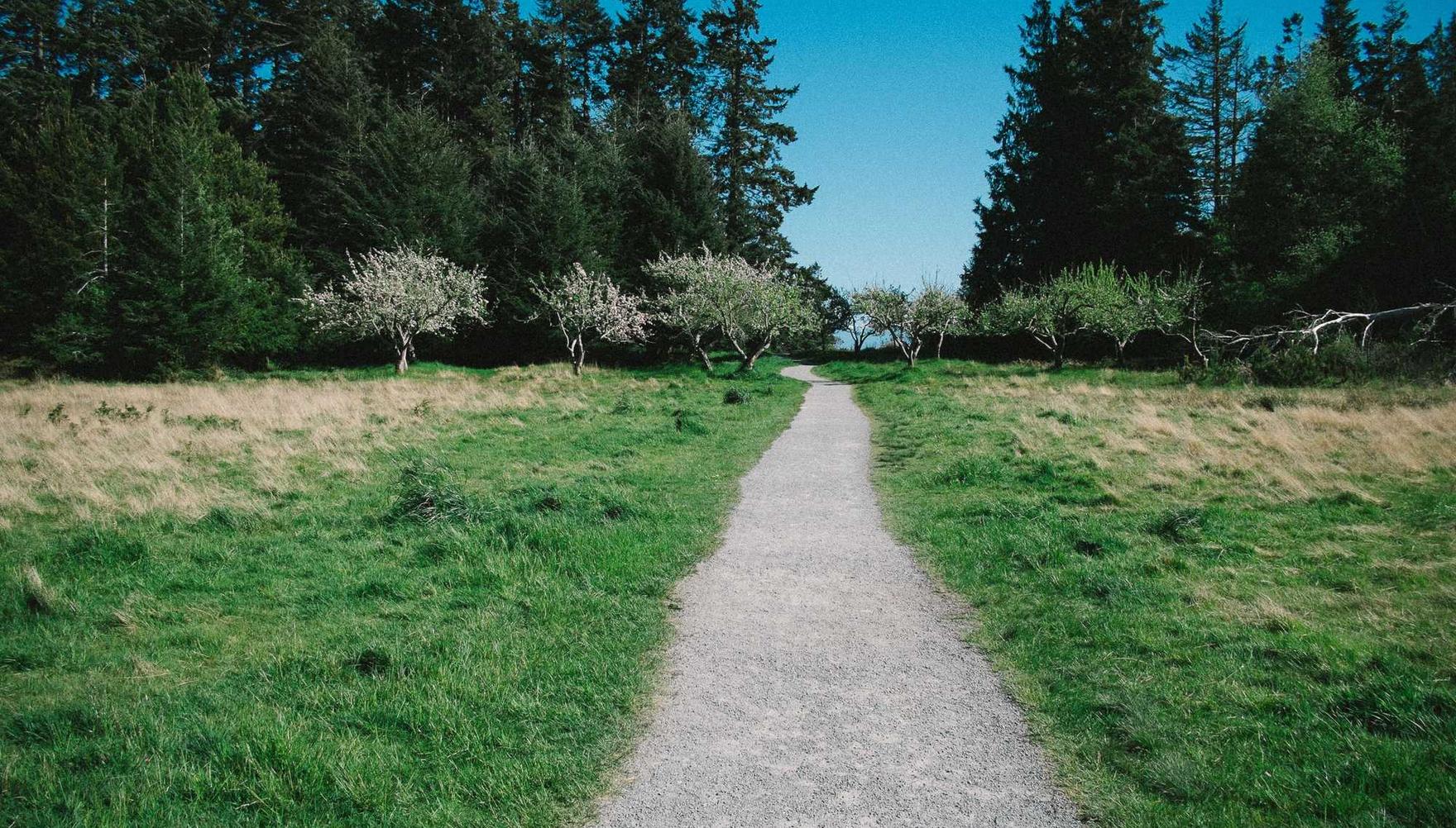 无畏契约国服：达达代理注册