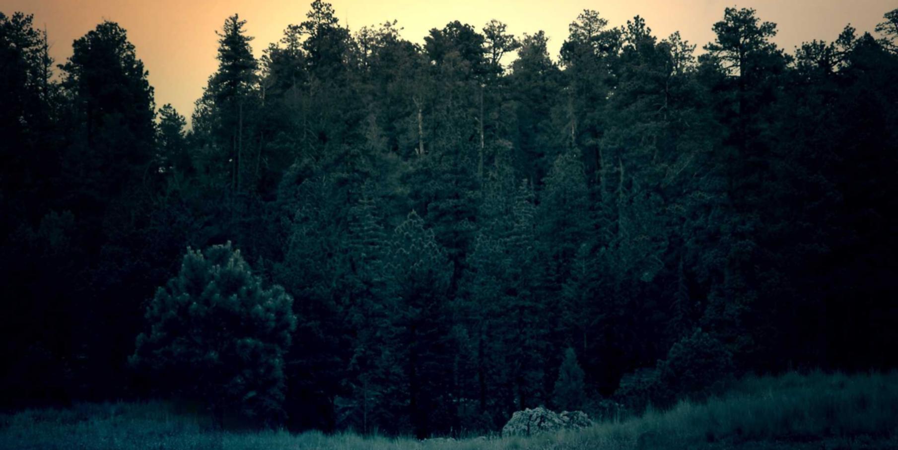 铁盒柔和七星蓝莓爆珠：电商平台代理安全防护