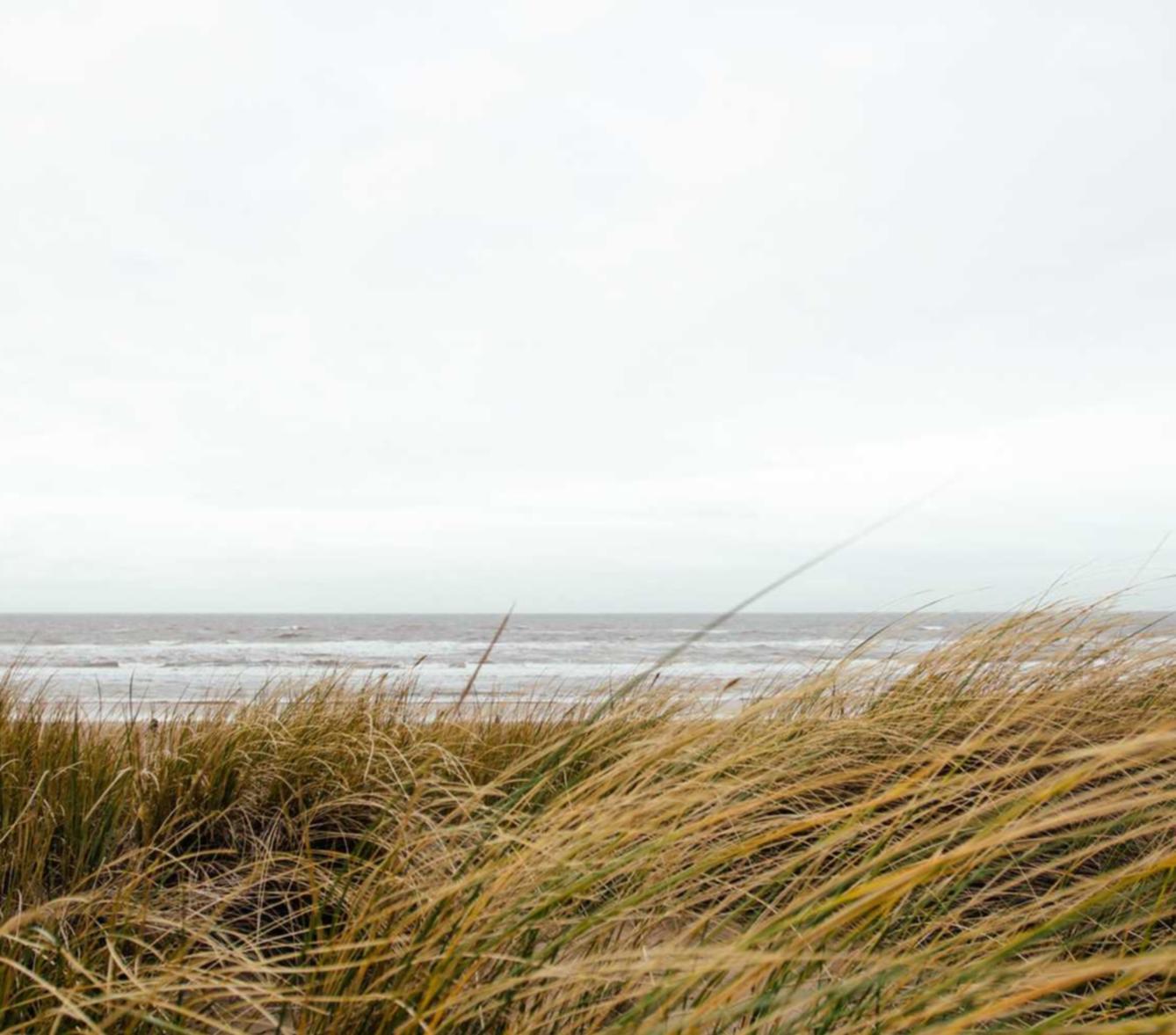 eSIM卡实名账号：红酒代理注册资金