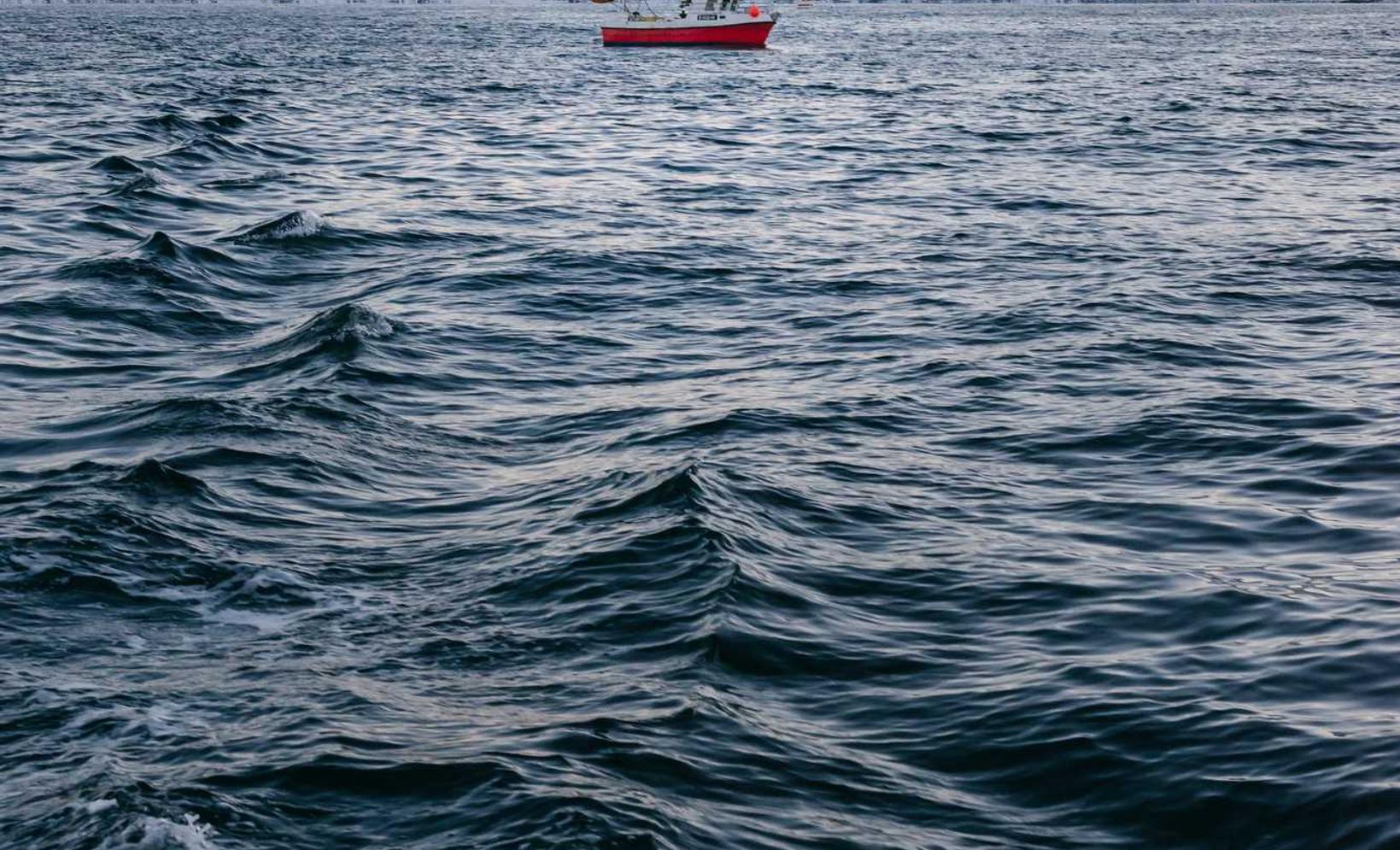 DDOS攻击|湖里工商注册代理服务