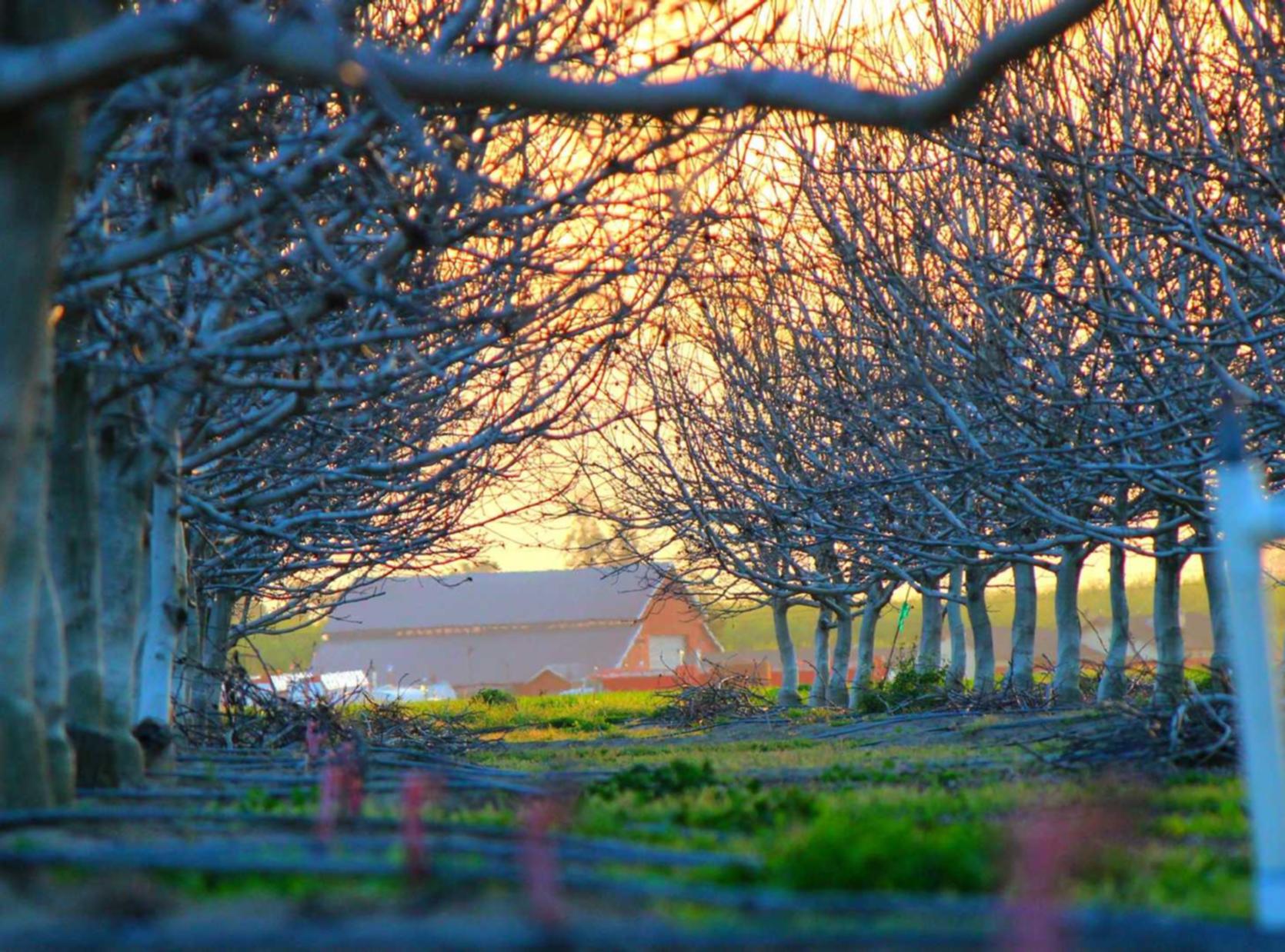 网站安全渗透：怎么注册csgo账号