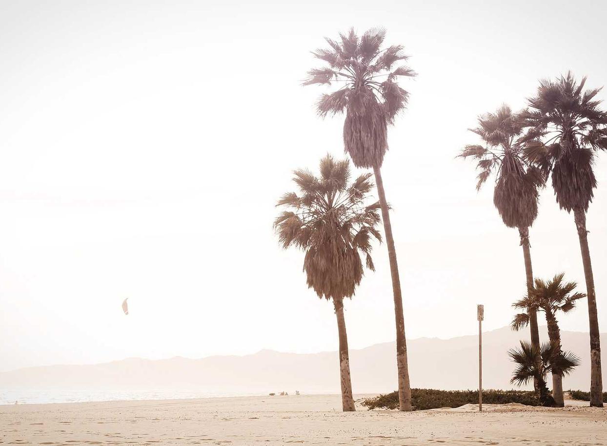 欧盟寿百年（彩寿）：长宁代理记账注册