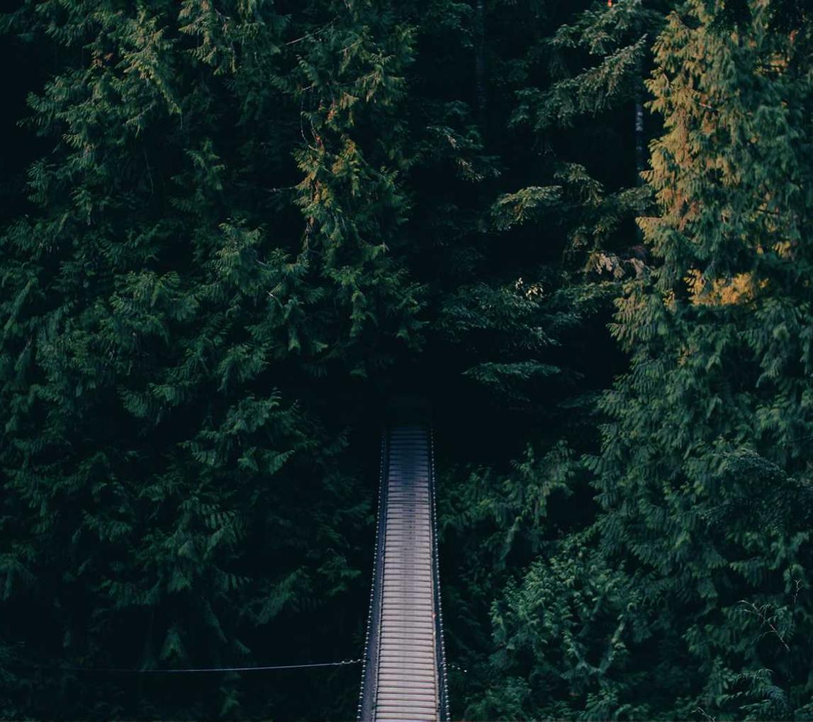 银盛通信实名账号:ie 代理 注册表