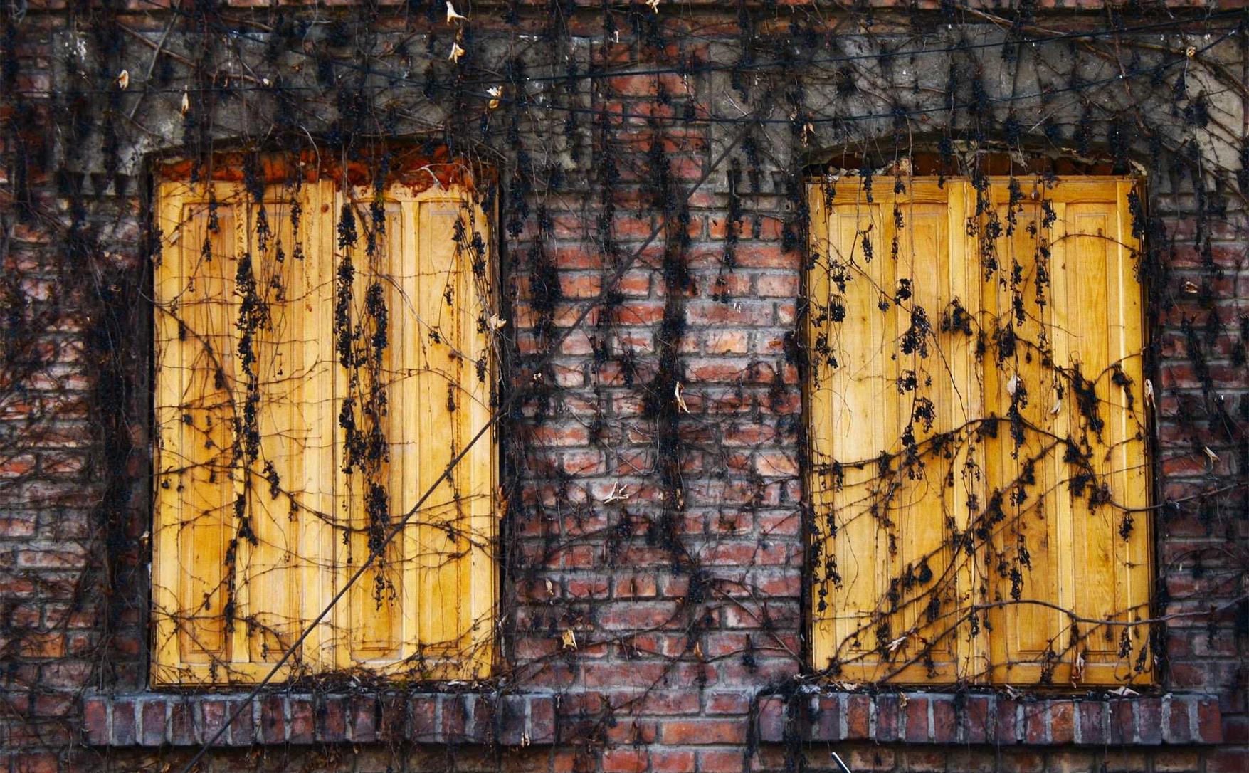 远特信时空实名账号：实名认证账号的重要性对于防止垃圾信息和网络病毒的传播