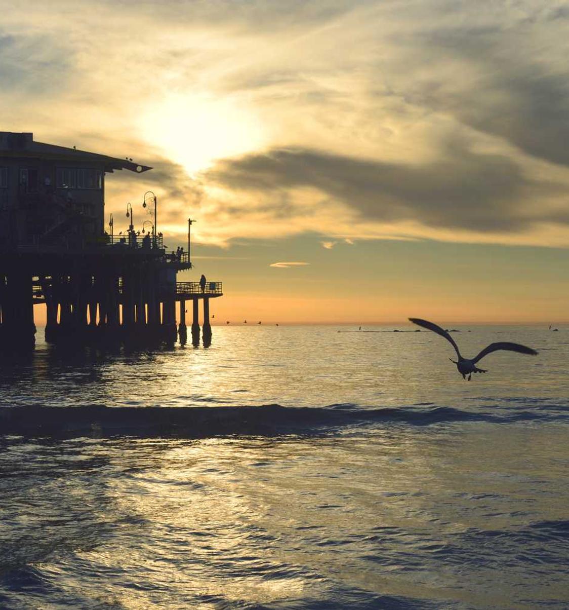 淘宝哪里可以注册新账号