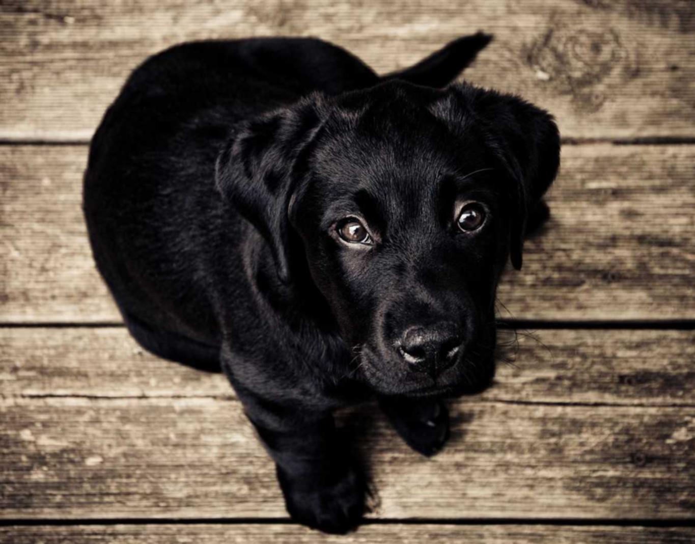 oppo平台广告代理