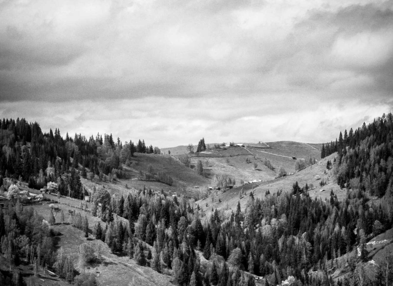 方盒爱国中支：淘宝购买苹果账号