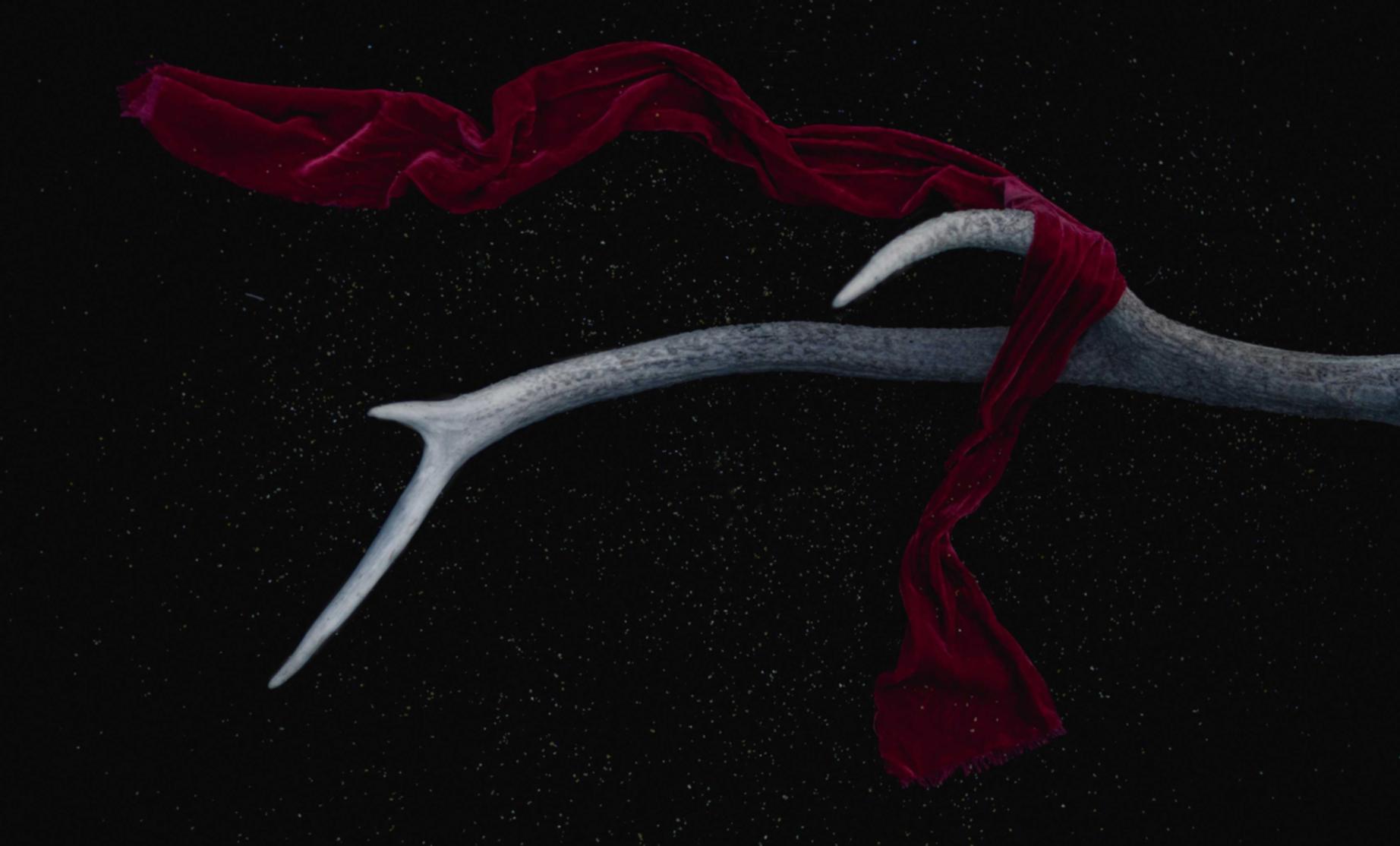 极悦2060显卡购买平台