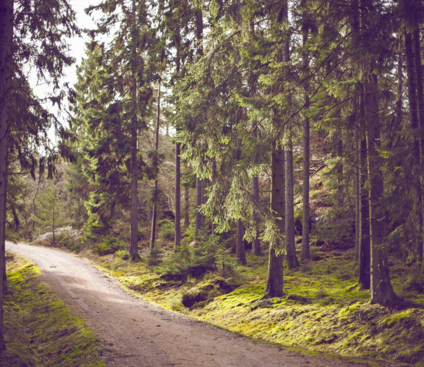 DDOS攻击平台|花店的鲜花购买平台叫什么